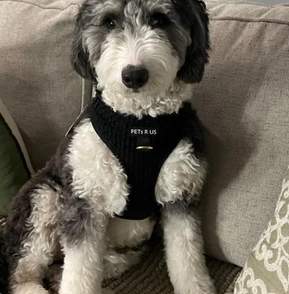 Premium No-Pull Dog Harness Soft Neoprene & Breathable Mesh Vest with Front & Back Clip D-Rings Adjustable Lightweight Walking Harness for Puppies, Small & Medium Dogs (Black Boucle, M) - color: Black Boucle, size: M: Neck=15.4-20.1''/Chest=18.1-24.4''