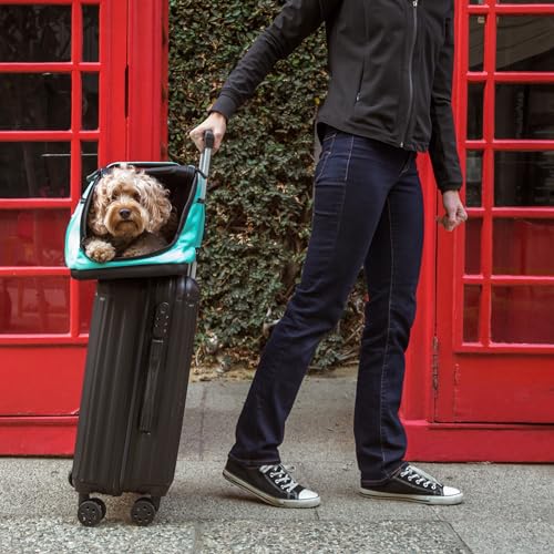 Sleepypod Air Pet Carrier Robin Egg Blue - color: Robin Egg Blue, size: 22.0"L x 10.5"W x 10.5"H