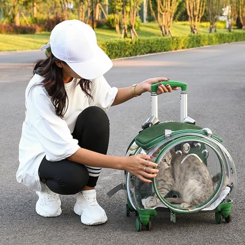 Cat Carrier with Wheels,Transparent Bubble Cat Carrier Pet Trolley Case Pet Backpack for Kitty Small Dog[Clear Ventilation Holes Silent Wheels] Pet Carrier for Hiking Travel Fast Arroval from USA Bla - color: Black