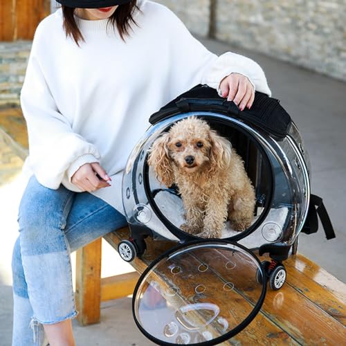 Cat Carrier with Wheels,Transparent Bubble Cat Carrier Pet Trolley Case Pet Backpack for Kitty Small Dog[Clear Ventilation Holes Silent Wheels] Pet Carrier for Hiking Travel Fast Arroval from USA Bla - color: Black