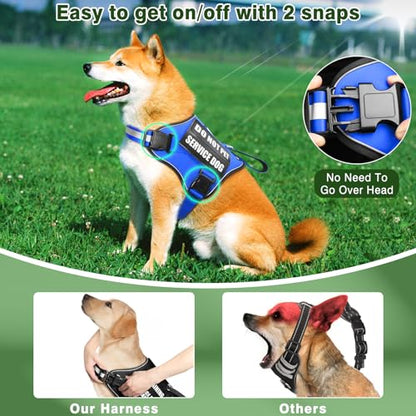 Service Dog Vest Harness and Leash Set+10 Patches,No Pull&Easy Walk Reflective Dog Harness with Soft Padded Handle for Training/Everyday,Fit Small/Medium/Large/Extra-Large Dogs (Blue M) - color: Blue, size: Medium