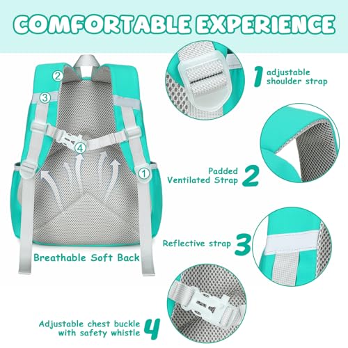 BTOOP Kids Backpack for Boys Girls 3-6, Preschool Kindergarten Backpack with Insulated Lunch Compartment & Chest Strap, Cute Lightweight School Travel Bag Fits A4 Folder - color: Green, size: Age 3-6 (14.5" H Fit Folder)