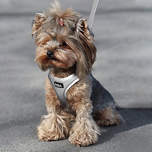 Fida Comfy Dog Harness with Leash, Cat Vest Harness Escape Proof, Breathable Lightweight Soft Mesh, Adjustable Reflective Step-in Harness for Puppy Toy Breeds & Extra-Small Pet (XXS, Grey) - color: Light Gray, size: XXS (Neck:11.4"-12.2"; Girth:12.6"-14.2