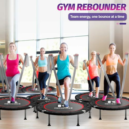 K KENSONE 40" Mini Flodable Spring Rebounder Trampoline for Adults, Small Exercise Trampoline for Indoor Workout and Fitness, Purple Resistance Band Included, Max Load 330 LBS - size: 40"(Gray Resistance Band), style: Without Bar