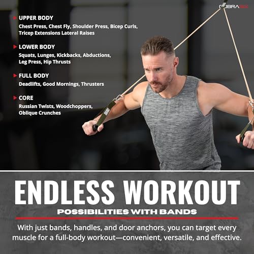 COBRASIX Long Resistance Bands for Working Out | Set of 6 Exercise Bands for Full-Body Training | Pull Up Bands for Home Gym with Handles, Door Anchor and Bar Options | for Men & Women