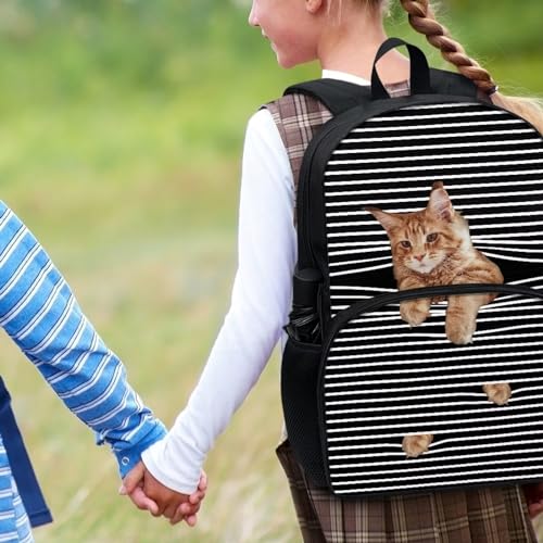Talayituse Cat Stripe Print School Bags for Kids Girls Boys Backpack with Front Zipper Pocket and Adjustable Shoulder Strap Book Bags Casusal Travel Daypack Middle High School Bookbag - color: Cat Stripe