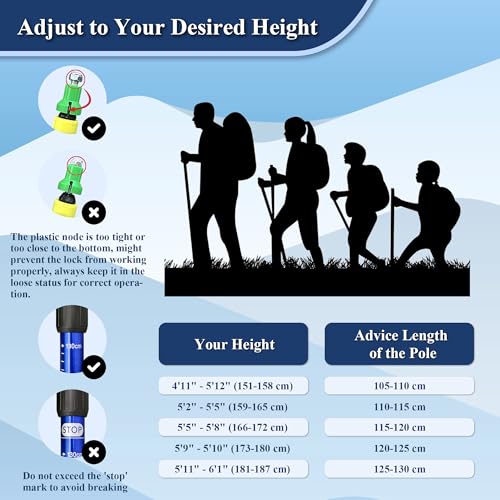 TheFitLife Nordic Walking Trekking Poles - 2 Sticks with Anti-Shock and Quick Lock System, Telescopic, Collapsible, Ultralight for Hiking, Camping, Mountaining, Backpacking, Walking, Trekking - color: Blue