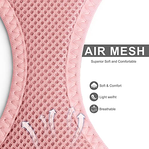 Fida Comfy Dog Harness with Leash, Cat Vest Harness Escape Proof, Breathable Lightweight Soft Mesh, Adjustable Reflective Step-in Harness for Puppy Toy Breeds & Extra-Small Pet (XXS, Pink) - color: Pink, size: XXS (Neck:11.4"-12.2"; Girth:12.6"-14.2")