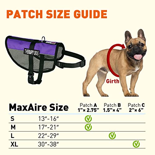 Dogline MaxAire Multi-Purpose Mesh Vest for Dogs and 2 Removable Therapy Dog Patches, Small, Purple - color: Purple, size: Girth 13 by 16"