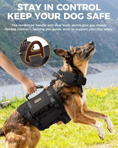 Dog Weight Vest for Exercise, Adjustable Dog Training Vest with Pocketed Design, No Weights Included, Reflective Walking and Conditioning Vest for Medium and Large Dogs, L - size: L