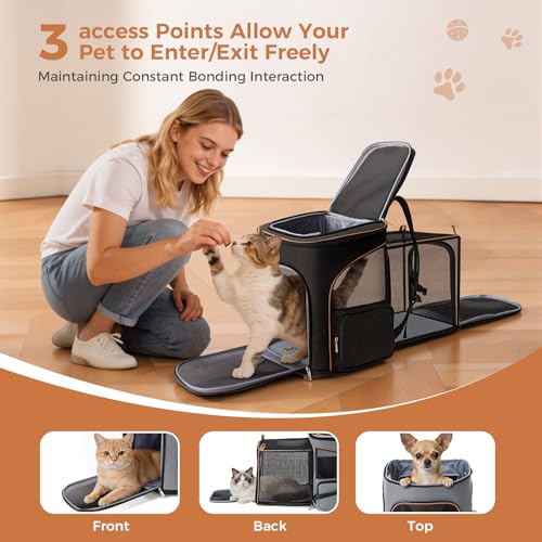Lekereise Cat Backpack Carrier for Small Dogs and Medium Cat Puppy Kitten Bunny Pet Carrier Backpack Collapsible with Fully Ventilated Mesh with Safety Leash(Black) - color: Black, size: 24.4"L x 14"W x 16.2"H