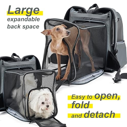 Expandable Pet Carrier, Airline-Approved Foldable and Detachable Backpack, Fits 13lbs Cat&11lbs Small Puppy Dog, for Car Travel,Camping and Emergency Transportation and Shelter (Grey)