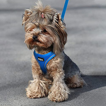Fida Comfy Dog Harness with Leash, Cat Vest Harness Escape Proof, Breathable Lightweight Soft Mesh, Adjustable Reflective Step-in Harness for Puppy Toy Breeds & Extra-Small Pet (XXS, Blue) - color: Blue, size: XXS (Neck:11.4"-12.2"; Girth:12.6"-14.2")