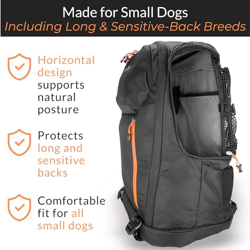 DJANGO Dog Carrier Backpack – Pet Backpack for Small Dogs & Cats with Hip Belt, Laptop Pocket & Water Bottle Sleeve – Travel Dog & Cat Carrier for Hiking, Camping & Commuting (Midnight Black)