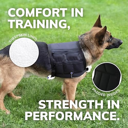 ActiveDogs Weighted Dog Vest with Weights - Dog Agility Training Equipment Jacket for Dog Exercise, Strength, Pulling & Endurance - Burn Calories & Build Muscle - Large 34-38 IN, 10 x 1LB - size: Large