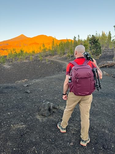 VANGUARD VEO Metro B25L Camera & Everyday Backpack (Magenta) – Fits 70–200mm Attached, 16" Laptop Storage, Convertible Daypack Design, Carry-On Ready - color: Magenta, size: 25L
