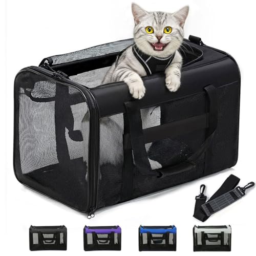 Conlun Cat Carrier Bag,Soft-Sided Pet Carriers for Dogs with 4-Sided Mesh,Airline Approved Cat Transport Carrier for Small&Medium Cats Kitten Puppy Up to 15Lb,Collapsible Cat Travel Carrier-M,Black - color: Black, size: 17.0"L x 11.0"W x 11.0"H