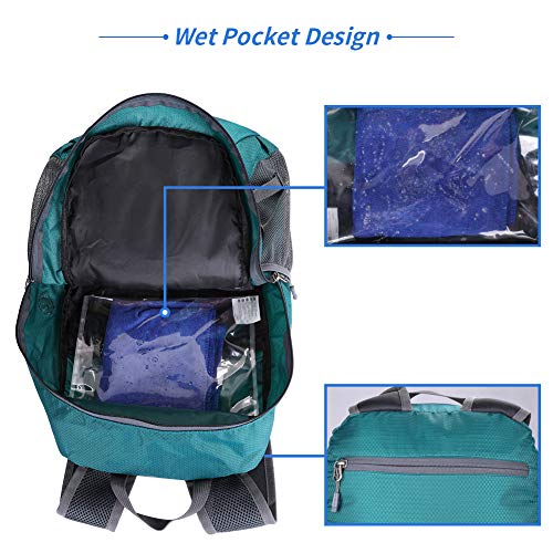 WATERFLY Lightweight Packable Hiking Backpack: 30L Foldable Travel Daypack Ultralight Camping Day Pack for Woman Man - color: Green