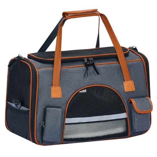 Pesen Large Soft Cat Carrier, 20 x 12 x 11 Inches, Holds Up to 28 lbs