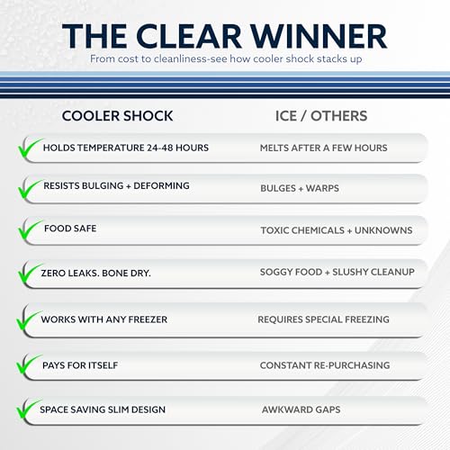 Cooler Shock Reusable Ice Packs for Cooler - Long Lasting Cold Freezer Packs for Coolers and Lunch Boxes - Cooler Ice Packs for Camping Gear, Fishing, Road Trips, Beach Must Haves - style: Small - With Handle - 5pk