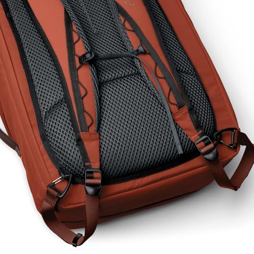 Bellroy Lite Travel Pack 38L (carry-on backpack, large travel backpack for international travelers, with laptop pocket, interior packing cells and tuck-away shoulder straps) - Clay - color: Clay