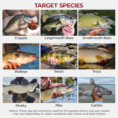 MadBite by KastKing 182/265/400pcs Compact Fishing Tackle Kit - All-in-One Freshwater Hooks, Weights, Bobbers in Tackle Box, Fishing Gear Set for Bass Trout Panfish - style: 400pcs Terminal Tackle Kit