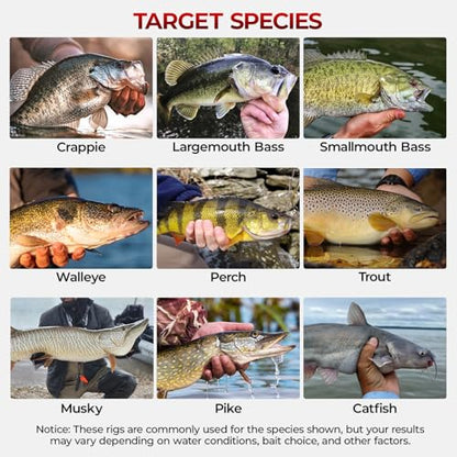 MadBite by KastKing 182/265/400pcs Compact Fishing Tackle Kit - All-in-One Freshwater Hooks, Weights, Bobbers in Tackle Box, Fishing Gear Set for Bass Trout Panfish - style: 400pcs Terminal Tackle Kit