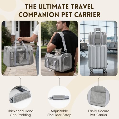 Cat Carrier Soft, Dog Carriers for Small Dogs/Large Cats (Up to 16lbs), with High Breathability, Shoulder Strap, Removable Pad, Pet Carrier Airline Approved, for Home Outdoor Travel (Gray) - color: Gray