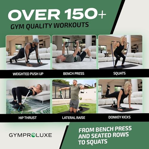 Gymproluxe Portable Gym - Resistance Exercise Band Set - 200LBS Resistance Bands for Men & Women - Multi Gym Fitness Equipment & Pilates Bar for Home Workout - style: All in one