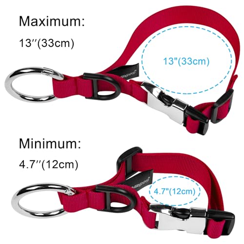 Wisdompro Jacket Gripper Strap, Add a Bag Luggage Straps Baggage Suitcase Belts Travel Accessories with Hook and D-Ring - Make Your Hands Free, Easy to Carry Your Extra Bags - Red - color: Red