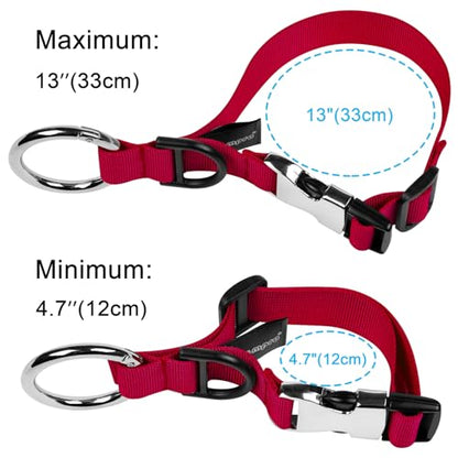 Wisdompro Jacket Gripper Strap, Add a Bag Luggage Straps Baggage Suitcase Belts Travel Accessories with Hook and D-Ring - Make Your Hands Free, Easy to Carry Your Extra Bags - Red - color: Red