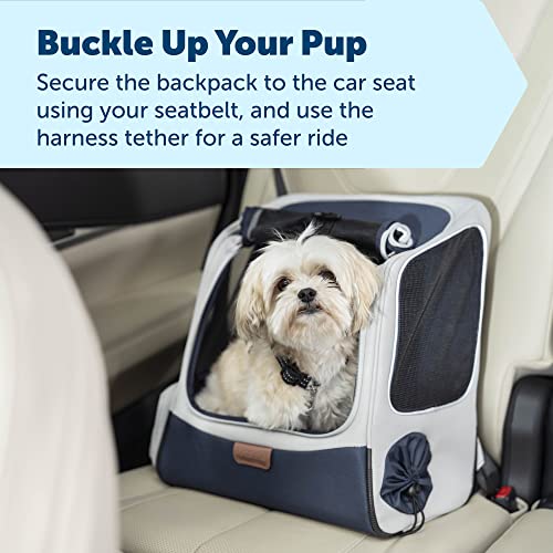 PetSafe Happy Ride Backpack Pet Carrier - Perfect for Dogs & Cats up to 20lbs - Mesh Windows for Comfortable Travel - Harness Tether for Safety - Easy Access Treat Opening - Can be Secured in the Car