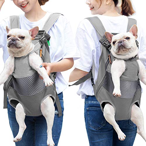 Lifeunion Legs Out Dog Carrier Backpack Hands-Free Adjustable Pet Travel Carrier for Small Medium Dogs Cats Motorcycle Hiking Walking (Grey) - color: Grey