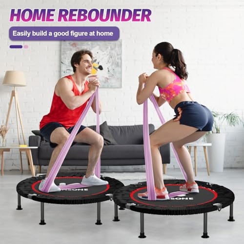 K KENSONE 40" Mini Flodable Spring Rebounder Trampoline for Adults, Small Exercise Trampoline for Indoor Workout and Fitness, Purple Resistance Band Included, Max Load 330 LBS - size: 40"(Purple Resistance Band), style: Without Bar