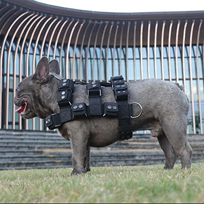 Dog Harness for Small Medium Large Dogs No Pull, Dog Weighted Vest, Tactical Dog Harness for Pit Bulls with Pockets (Adjustable Weight) - Weight Loss, Exercise, Walking, Muscle - size: Size XS/Dog's Waist 19.5"-24.5"