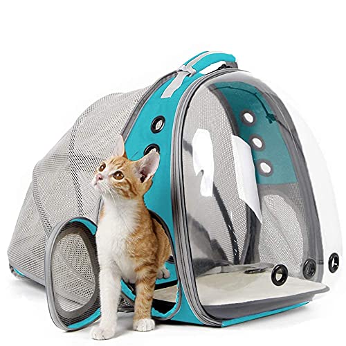Back Extension Cat Travel Carrier Backpack (Green, Clear Window) - color: Green
