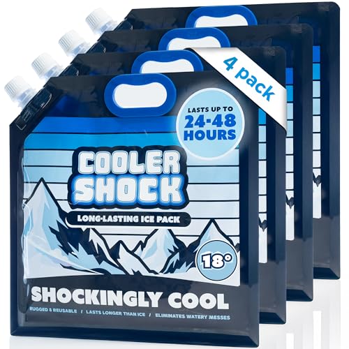 Cooler Shock Reusable Ice Packs for Cooler - Long Lasting Cold Freezer Packs for Coolers and Lunch Boxes - Cooler Ice Packs for Camping Gear, Fishing, Road Trips, Beach Must Haves - style: Medium - With Handle - 4pk