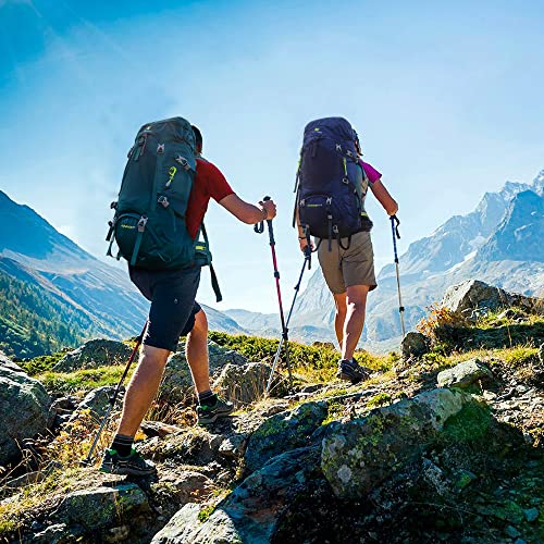 N NEVO RHINO Internal Frame Hiking Backpack 50/60/65/70/80L, Mountain Climbing Camping Backpack Daypack Waterproof Rain Cover | Mountain Climbing - color: 09 Green, size: 60+5L