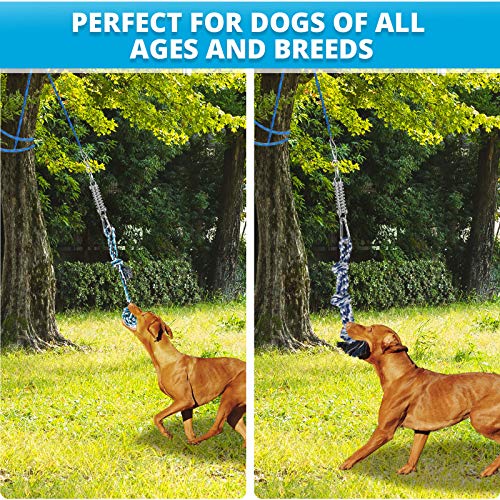 TT TRSMIMA Spring Pole Rope Toys: Rope Pull & Tug of War with a Big Spring Pole Kit & 2 Strong 16ft Toys - Muscle Builder Interactive Toy for Pitbull Medium to Large Dog - color: Blue
