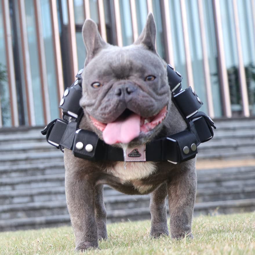 Dog Harness for Small Medium Large Dogs No Pull, Dog Weighted Vest, Tactical Dog Harness for Pit Bulls with Pockets (Adjustable Weight) - Weight Loss, Exercise, Walking, Muscle - size: Size XS/Dog's Waist 19.5"-24.5"