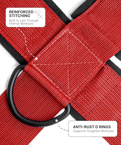 DMoose Fitness Neck Harness for Weight Lifting - Soft Padded Head & Chin Strap with 30" Heavy Duty Steel Chain - Neck Exerciser, Trainer & Strengthener to Support Injury Recovery and Intense Workouts - color: Red