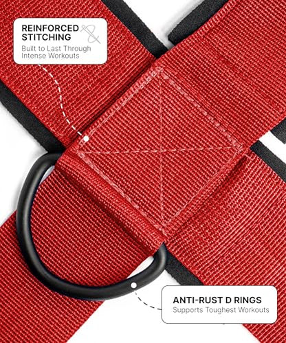 DMoose Fitness Neck Harness for Weight Lifting - Soft Padded Head & Chin Strap with 30" Heavy Duty Steel Chain - Neck Exerciser, Trainer & Strengthener to Support Injury Recovery and Intense Workouts - color: Red
