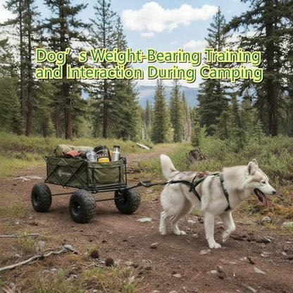 Weight Pulling Dog Harness for Dogs - Dog Pulling Harness for Sled & Running Training (Forest Green,M) - size: M