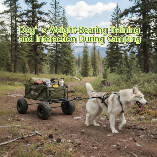 Weight Pulling Dog Harness for Dogs - Dog Pulling Harness for Sled & Running Training (Forest Green,XXL) - size: XXL