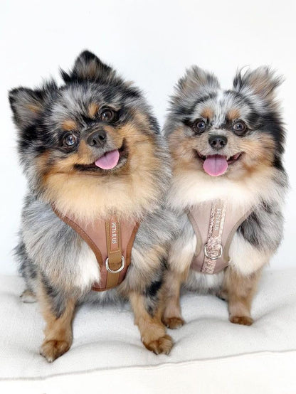 Premium No-Pull Dog Harness Soft Neoprene & Breathable Mesh Vest with Front & Back Clip D-Rings Adjustable Lightweight Walking Harness for Puppies, Small & Medium Dogs (Brown Taupe Snake, L) - color: Brown Taupe Snake, size: L: Neck=16.5-22''/Chest=22.4-3