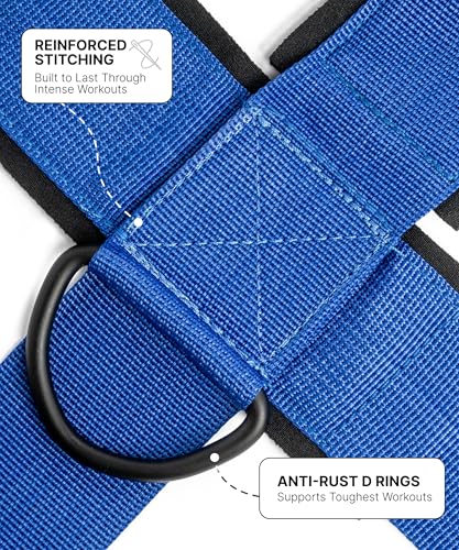 DMoose Fitness Neck Harness for Weight Lifting - Soft Padded Head & Chin Strap with 30" Heavy Duty Steel Chain - Neck Exerciser, Trainer & Strengthener to Support Injury Recovery and Intense Workouts - color: Blue