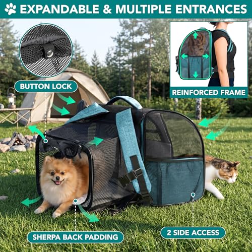PetAmi Expandable Dog Backpack Carrier for Cats & Pets, Breathable Cat Carrier Backpack with Top Window & Multi-Entry, Ventilated Foldable Travel Carrier for Small Medium Pets up to 18 lbs, Teal Blue - color: Turquoise