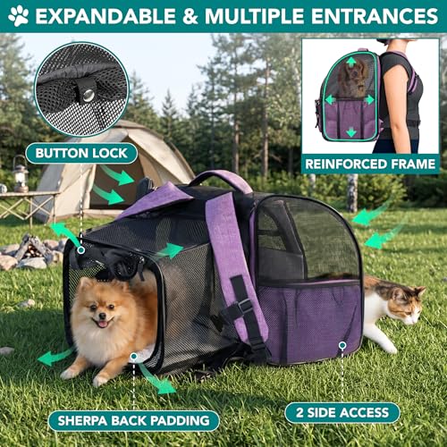 PetAmi Expandable Dog Backpack Carrier for Cats & Pets, Breathable Cat Carrier Backpack with Top Window & Multi-Entry, Ventilated Foldable Travel Carrier for Small Medium Pets up to 18 lbs, Purple - color: Purple