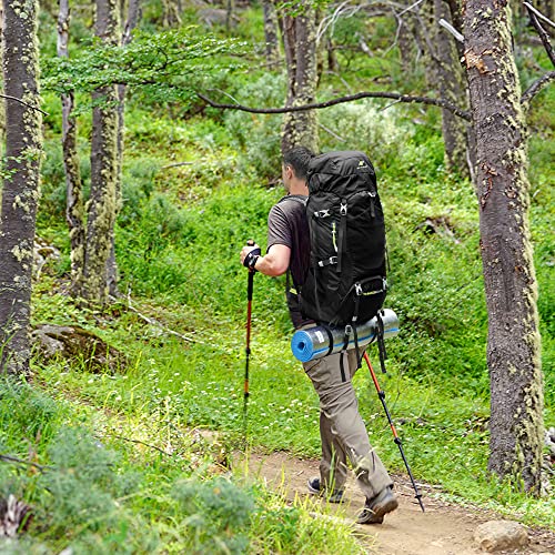 N NEVO RHINO Internal Frame Hiking Backpack 50/60/65/70/80L, Mountain Climbing Camping Backpack Daypack Waterproof Rain Cover | Mountain Climbing - color: 10 Black, size: 60+5L