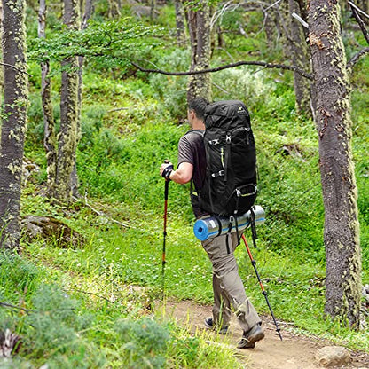 N NEVO RHINO Internal Frame Hiking Backpack 50/60/65/70/80L, Mountain Climbing Camping Backpack Daypack Waterproof Rain Cover | Mountain Climbing - color: 10 Black, size: 60+5L